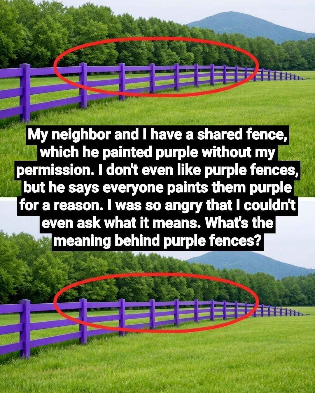 If You Spot a Painted Purple Fence, This Is What It Means