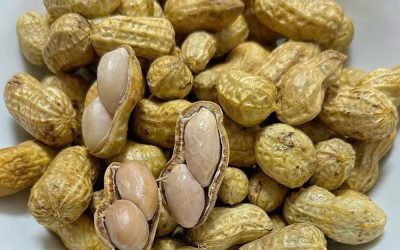 How peanuts can provide valuable nutrients in the diet of older adults