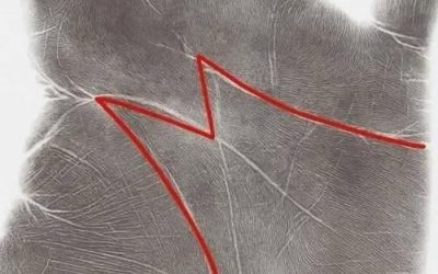 The “M” in Your Palm — Myth, Meaning, and What Science Really Says