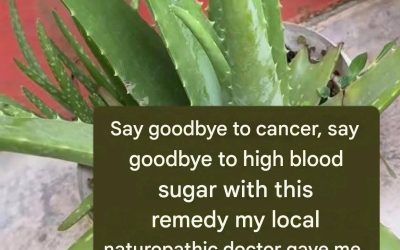How to prepare aloe vera juice step by step