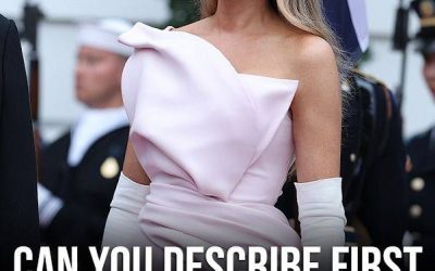 “One word. One woman. Endless interpretations — how would you define Melania Trump?”