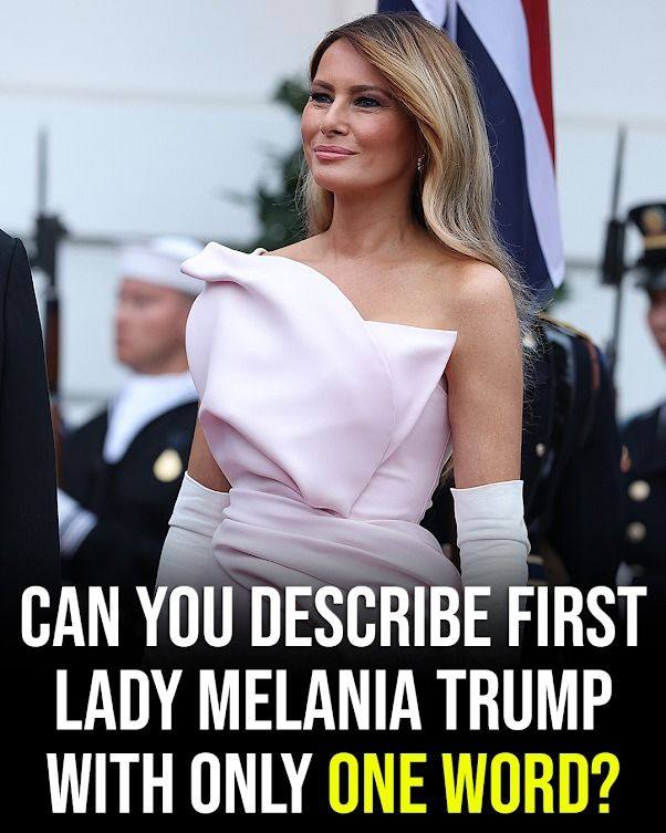 “One word. One woman. Endless interpretations — how would you define Melania Trump?”