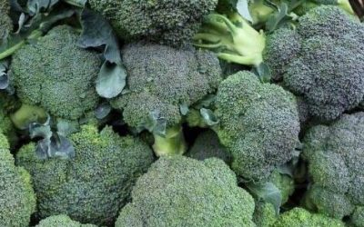 Doctors reveal that green broccoli causes…see more