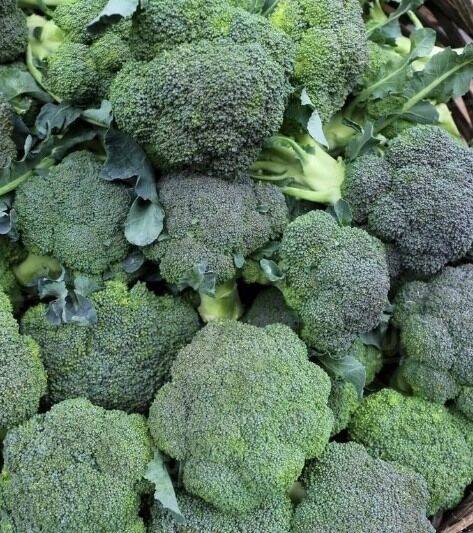 Doctors reveal that green broccoli causes…see more