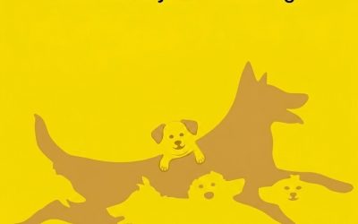 How Many Dogs Do You See? This Viral Test Claims to Reveal Your Mental Age (Here’s What It Means)