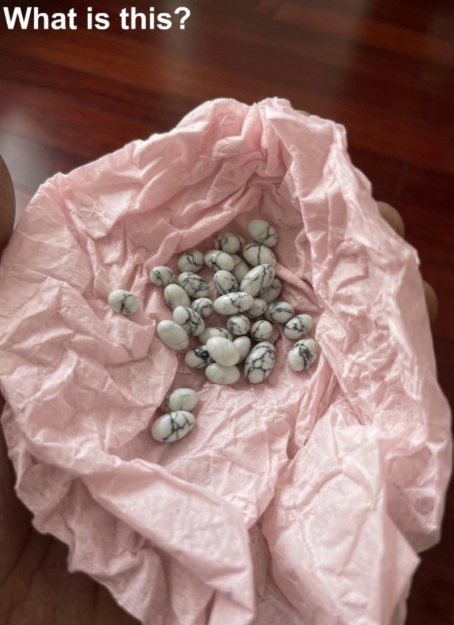 My younger brother is still in school. Yesterday, I wanted to put a candy in his bag to surprise him, but I accidentally found this inside. I’ve been looking at it for half an hour, but I still can’t figure out what it is.