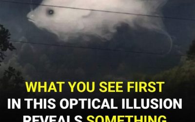 Optical illusion: What you see first reveals something important about your personality