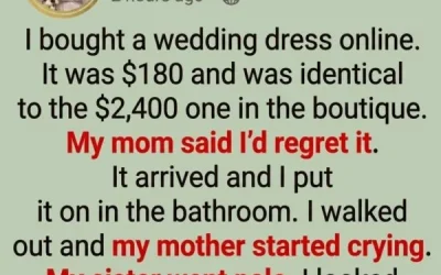 The 0 Wedding Dress That Proved Everyone Wrong..