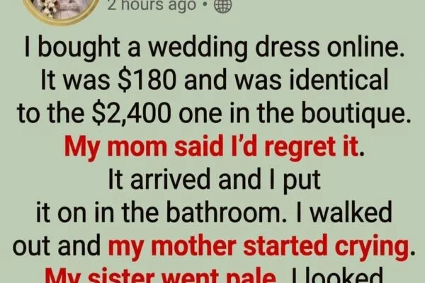 The 0 Wedding Dress That Proved Everyone Wrong..