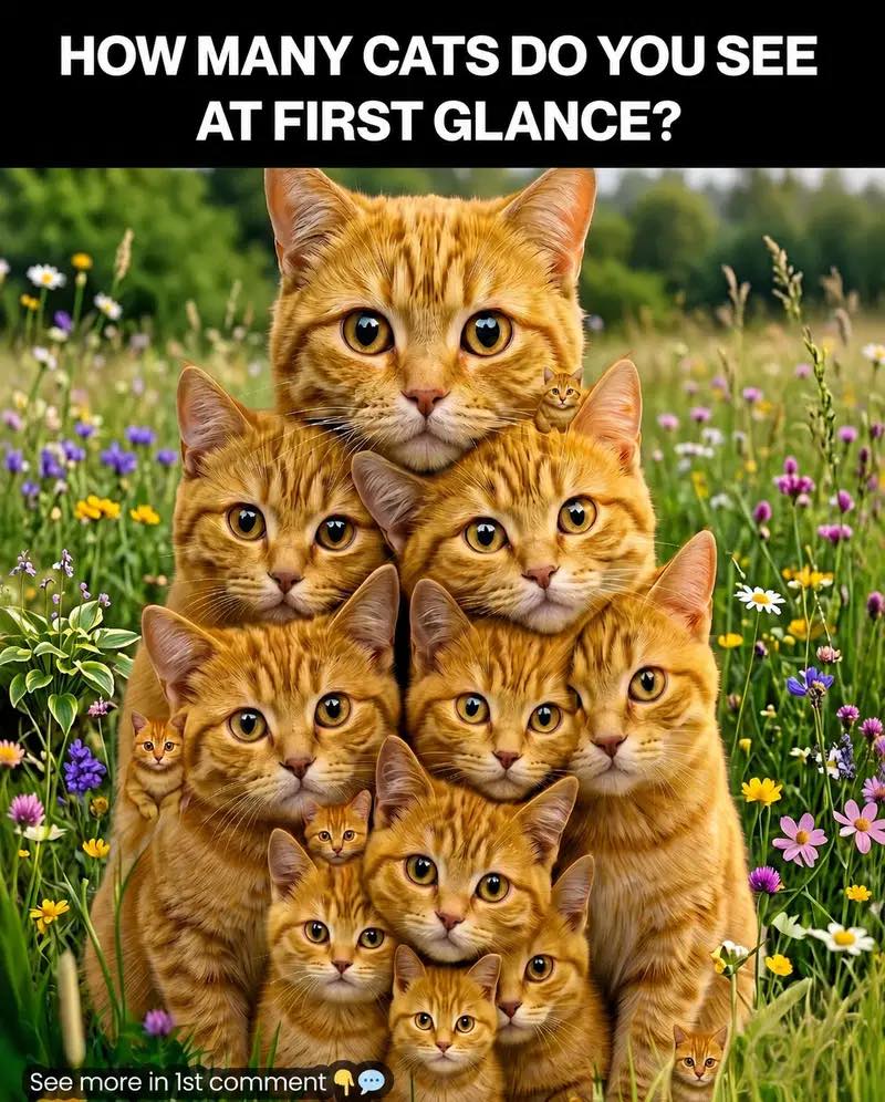 Check your personality based on how many cats you can spot