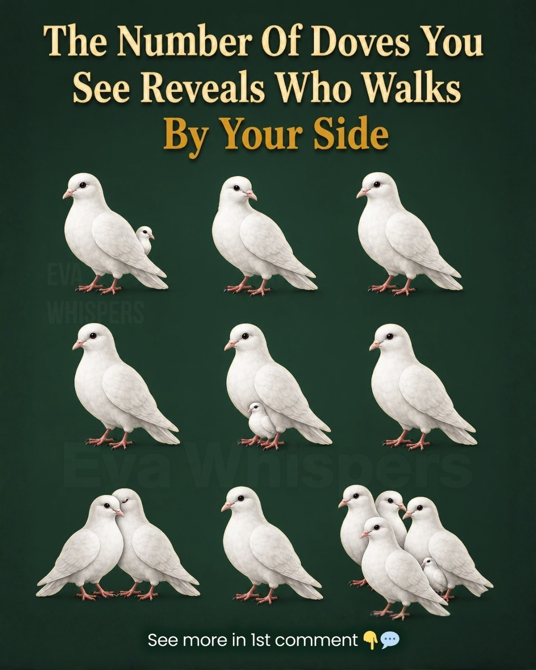 The Number of Doves You See First Reveals Who Walks Beside You