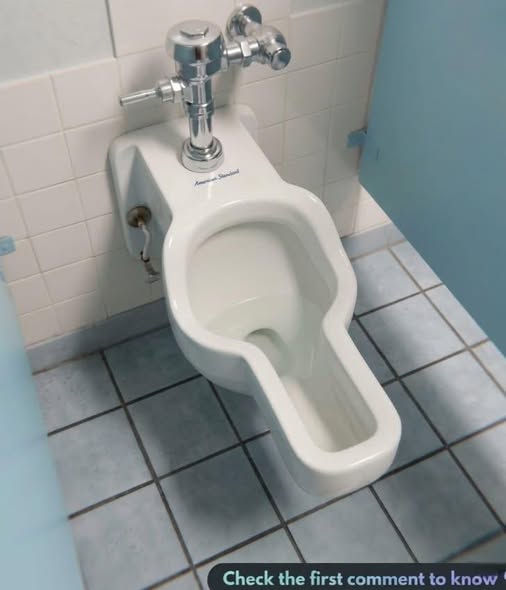 Huntsville Space Center Explores Women’s Urinals: A Modern Shift in Hygiene, Efficiency, and Inclusive Design