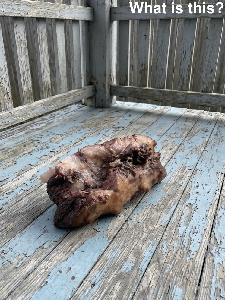 This morning, I stepped out onto my porch to enjoy a cup of coffee and discovered this on the ground.