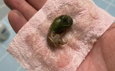 A Mysterious Discovery on Our Bathroom Floor Left Us Searching for Answers