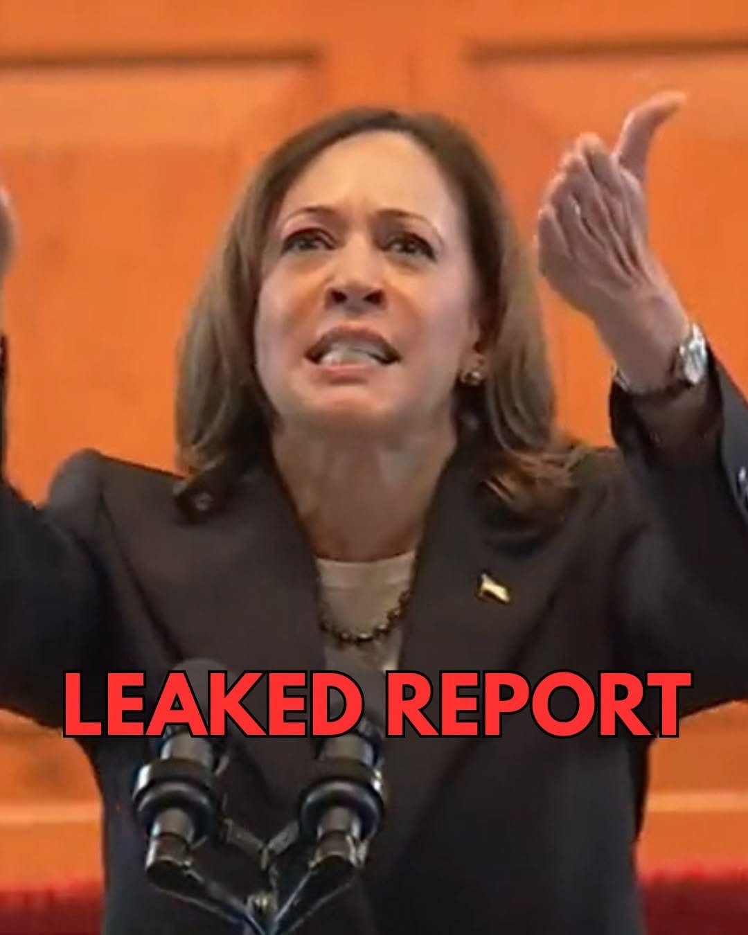 2024 DNC Report Reveals Just How Bad Party Screwed Up Harris’s Campaign