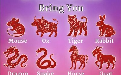 Choose a Chinese Zodiac Sign to Discover What the Year of the Horse May Bring