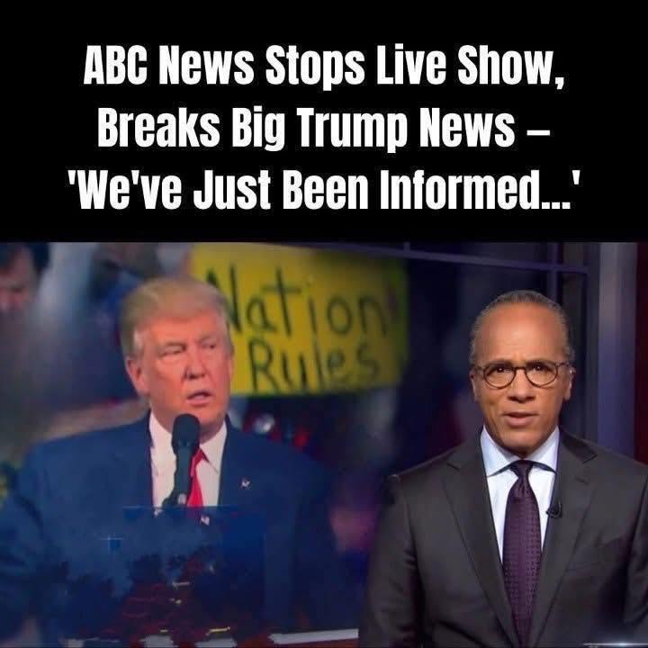 ABC Anchor Admits Truth As Trump’s DC Crackdown Yields Big Results