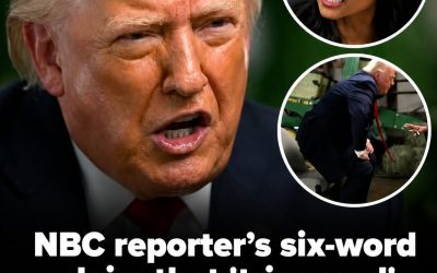 NBC reporter’s seven-word claim that ‘triggered’ Trump and caused him to storm off