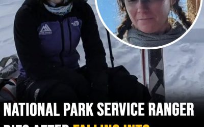 National Park Service ranger dies after falling into crevasse on Mount McKinley during climbing patrol