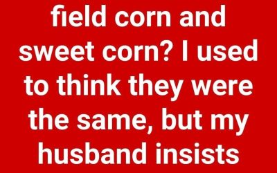 Comparing Field Corn and Sweet Corn