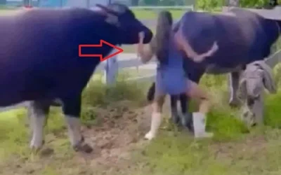 Young woman hospitalized after having…𝗦𝗲𝗲 𝗺𝗼𝗿𝗲