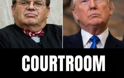 Another day, another federal court stuffed with activist judges who believe their rulings should be based on hurting President Donald Trump.