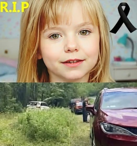 Years After Her Disappearance, One Discovery Changed Everything for This Family