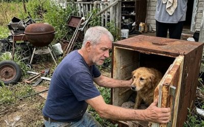How Saving A Dog From A Foreclosed House Taught Me To Heal AgainTaught Me To Heal Again
