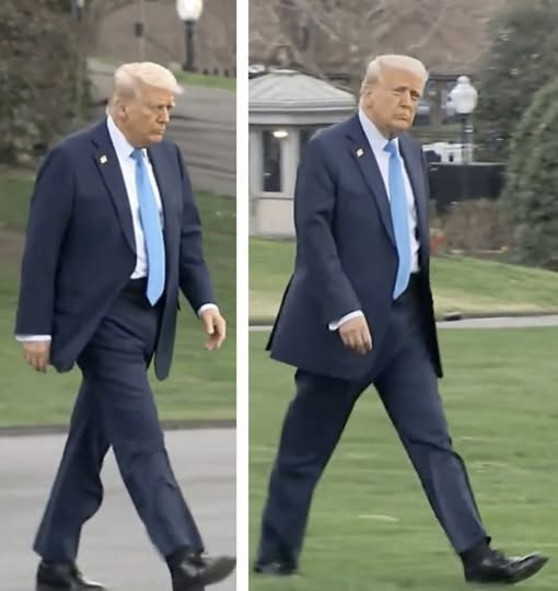 New Photos of Donald Trump Spark Discussion About His Appearance and Public Health Speculation