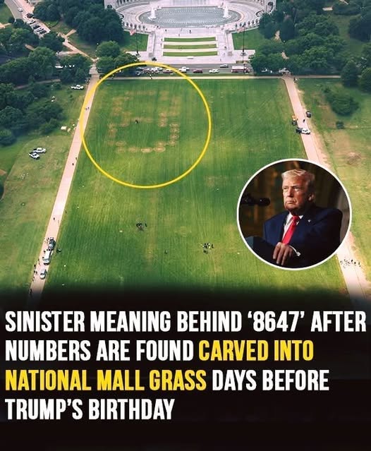 Questions Arise After ‘8647’ Numbers Appear In National Mall Grass