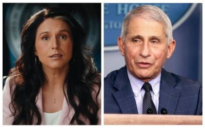 Outgoing DNI Tulsi Gabbard Drops a Bombshell: “Tony Fauci Should Be in Prison”