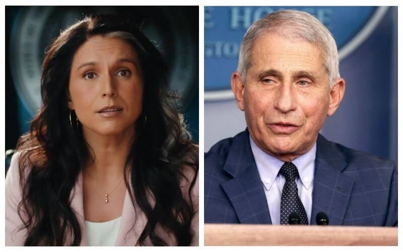 Outgoing DNI Tulsi Gabbard Drops a Bombshell: “Tony Fauci Should Be in Prison”