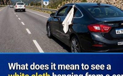 The White Cloth in Car Windows