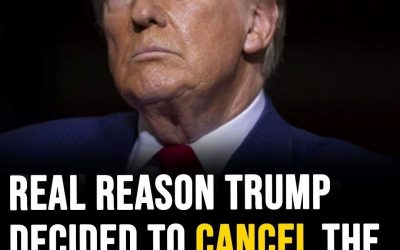 The president has lashed out against the “overpriced” and “boring” artists that canceled on him