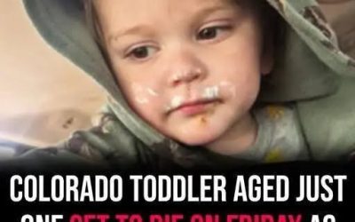 Colorado Toddler Heartbreaking Update