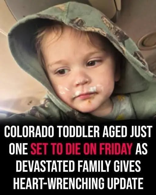 Colorado Toddler Heartbreaking Update