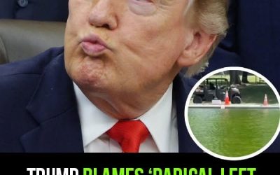 Trump blames ‘Radical Left Lunatics’ after  million Reflecting Pool turns green