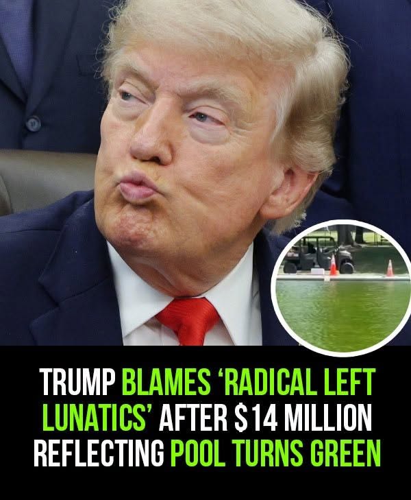 Trump blames ‘Radical Left Lunatics’ after  million Reflecting Pool turns green
