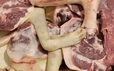 Breaking News: Man Arrested in California for Selling Illegal Meat Products