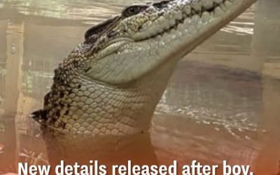 New details released after boy, 3, was ‘thrown into’ crocodile enclosure at UK zoo
