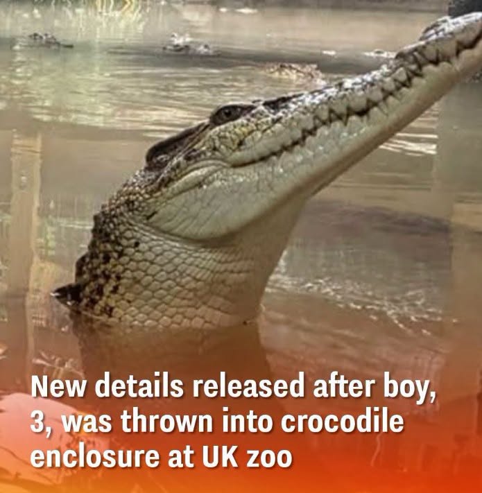 New details released after boy, 3, was ‘thrown into’ crocodile enclosure at UK zoo