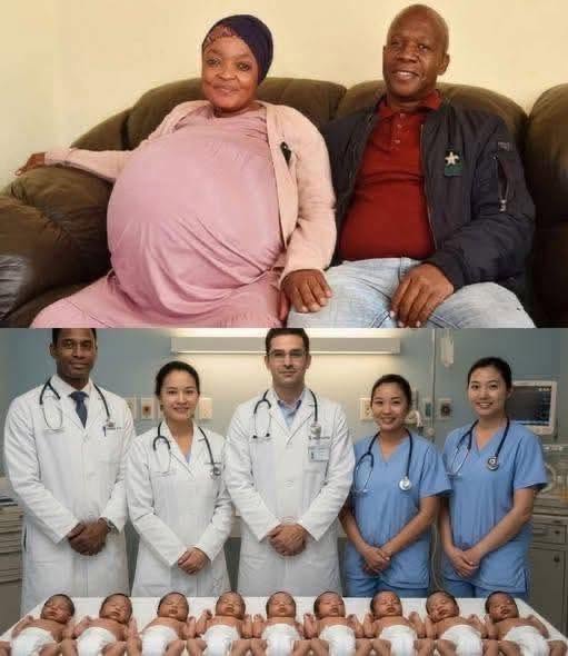 A Mother Gives Birth to 10 Babies… But One Wasn’t Human What Really Happened?