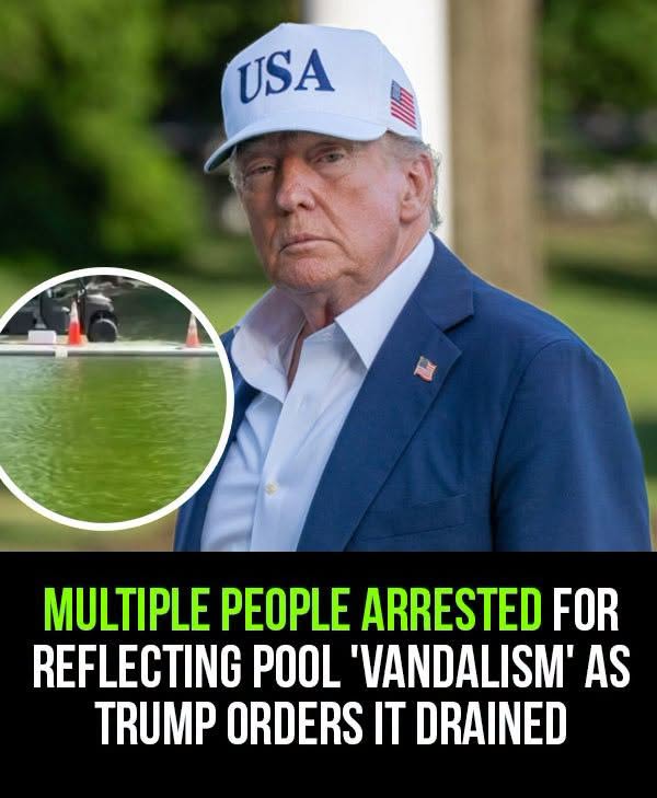 Trump announces arrests over Reflecting Pool ‘vandalism’, including a 67-year-old Olympic cyclist