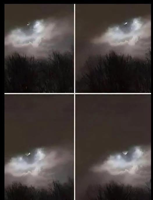 My Brother Took This Photo Just 21 km from Our Home—Can You Figure Out What It Is?