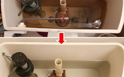 How to Clean Your Toilet Flush and Make It Look Like New …