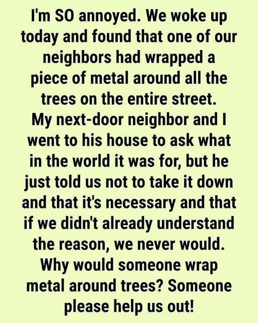 What It Means If Metal Is Wrapped Around a Tree: The Surprising Truth Behind Those Mysterious Tree Collars