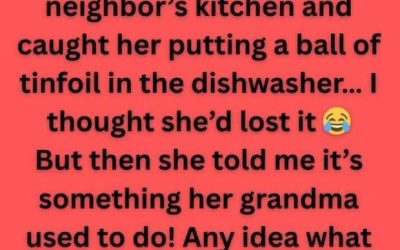 The Viral Dishwasher Hack