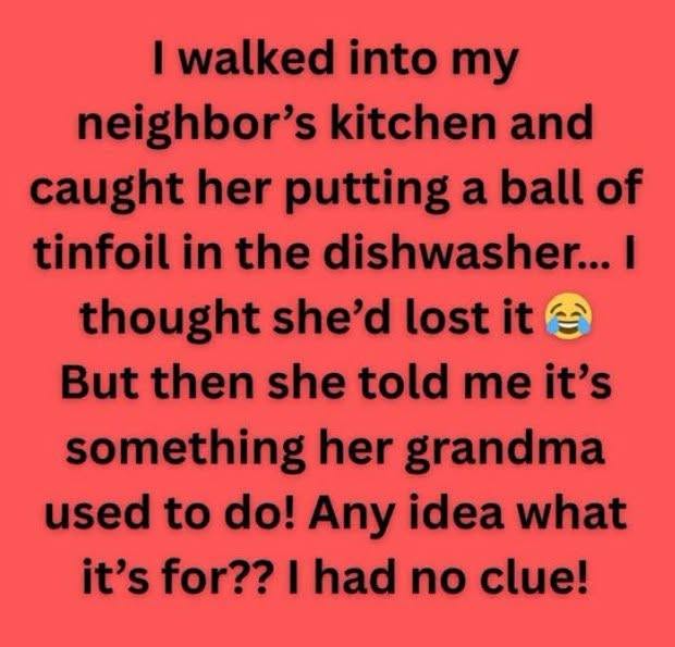The Viral Dishwasher Hack