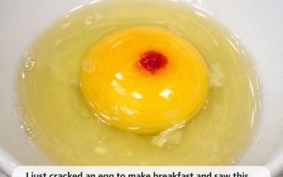 I Just Cracked an Egg and Found a Red Spot in the Yolk — Should I Throw It Away?