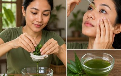 Oregano for Eye Wellness: A Simple Herbal Tradition That May Support Daily Visual Comfort 🌿👁️✨